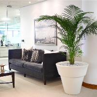 Best Indoor Planting in Melbourne image 2